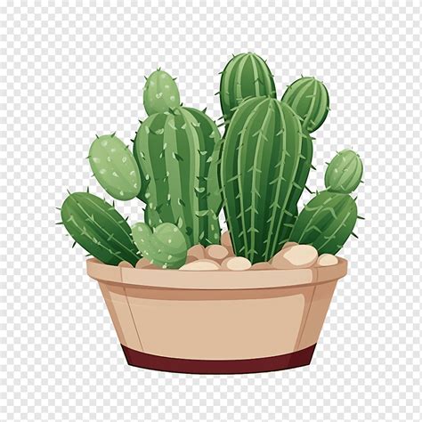 Cactus Pot Png PNGWing