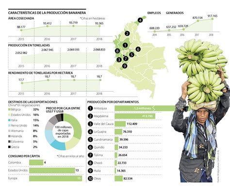 M S De Del Banano Que Se Produce En Colombia Es De Exportaci N