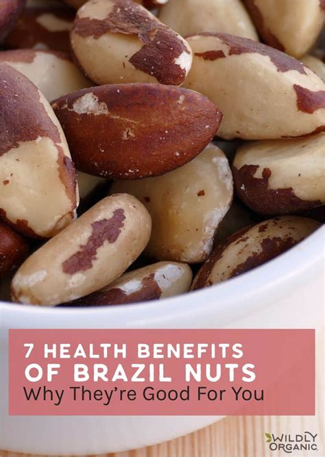 Health Benefits Of Brazil Nuts Learn More Wildly Organic Brazil