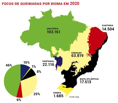 Brasil registra maior número de queimadas em uma década Jornal Joca