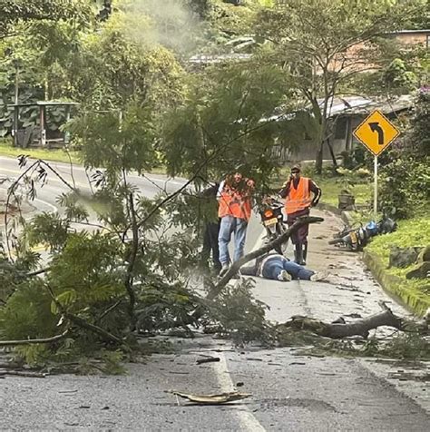 Mujer Est Entre La Vida Y La Muerte Al Caerle Un Rbol En Su Humanidad