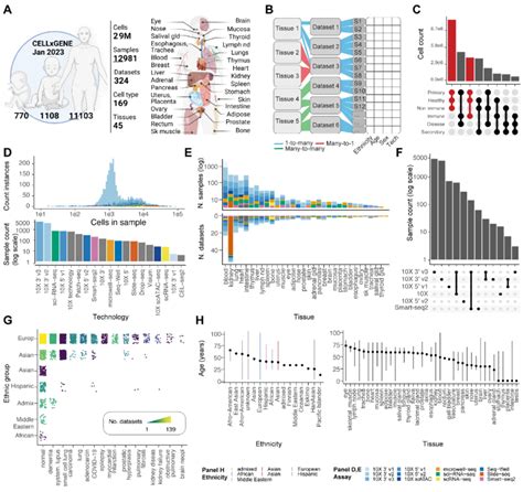 Overview Of The Cellxgene Human Cell Atlas Data A Contents Of The