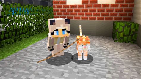 ICH HABE IHRE KATZE GEKLAUT Minecraft Deutsch HD YouTube