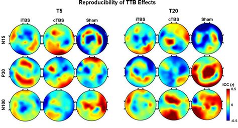 Reproducibility Of Cortical Response Modulation Induced By Intermittent