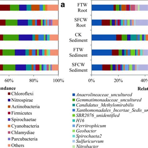 Taxonomic Composition And Relative Abundance Of Major Bacterial Groups