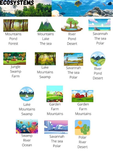 Ecosystems Vocabulary Worksheet