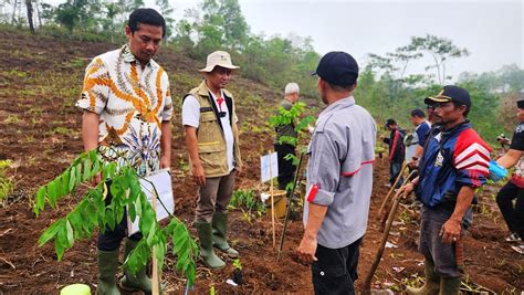 PLN EPI Gandeng Pesantren Di Tasikmalaya Kembangkan Ekosistem Biomassa