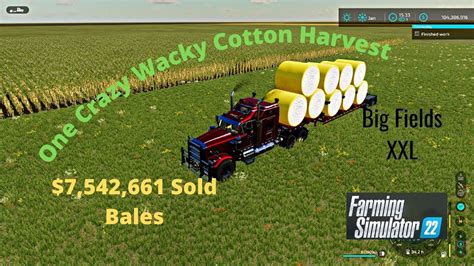 FS22 Big Fields XXL Crazy Wacky Cotton Harvest With 4 Harvesters