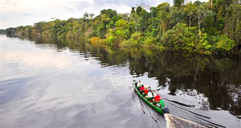 Brazil Amazon River Cruise Tucano | 4* & 5* Manaus Jungle Cruises