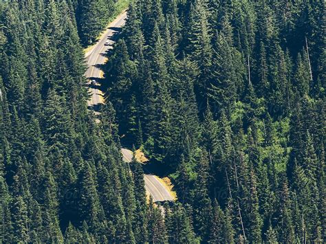 Highway Through The Forest Of Mt Rainier National Park By Stocksy