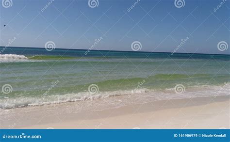 Grayton Beach State Park stock image. Image of park - 161906979