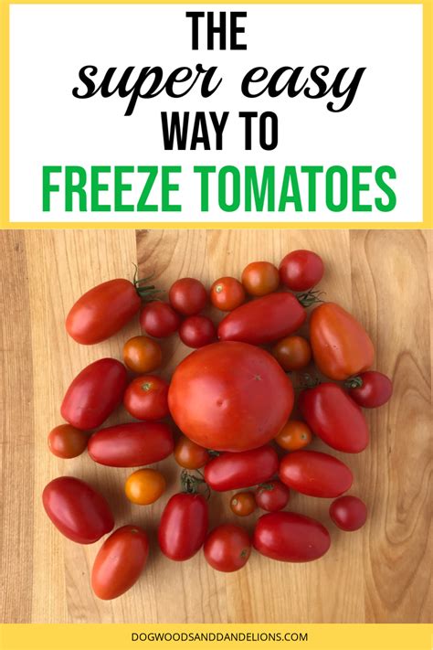 Freezing Tomatoes The Simplest Way To Preserve Tomatoes Freezing Tomatoes Tomato How To Peel