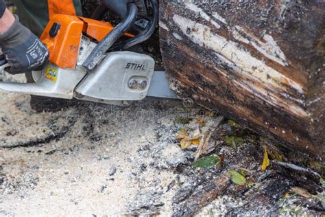 Een Ketting Van Stihl Die Werd Gebruikt Om Door Een Boomstam Te Snijden