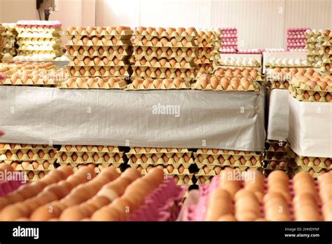Fresh Eggs In The Egg Factory Egg Factory Industry Stock Photo Alamy