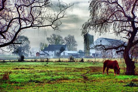 Dsc7961 Amish Landscape Fine Art Photography Mule Donkey Farm