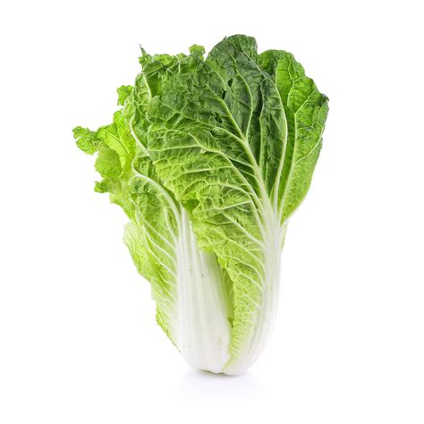 Savoy Cabbage Veggycation