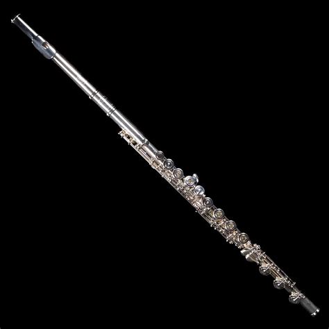 Wm S Haynes Q Series Professional Flute Q Oeb Demo Reverb