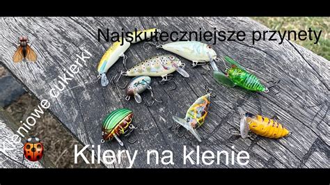 Klenie W Lipcu Na Co Je Lowie Zdradzam Moje Najskuteczniejsze Przynety