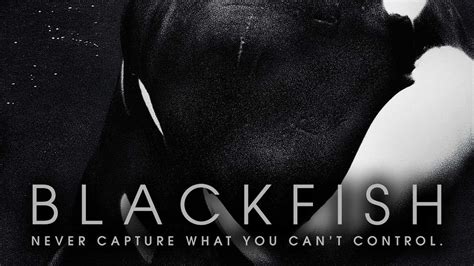 Blackfish Trailer Youtube