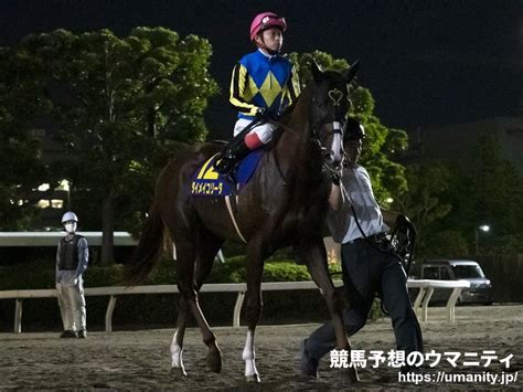 マイネルボンバー競走馬2020年産 成績｜地方競馬予想のウマニティ