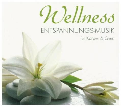 Wellness Entspannungs Musik Für Körper Geist auf Audio CD Portofrei