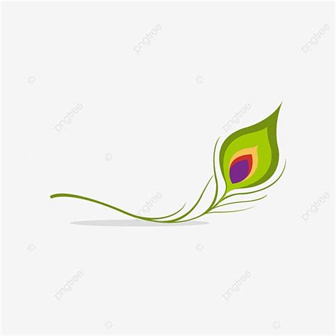 peacock,peacock vector,peacock leaf,peacock feather,feather icon ...