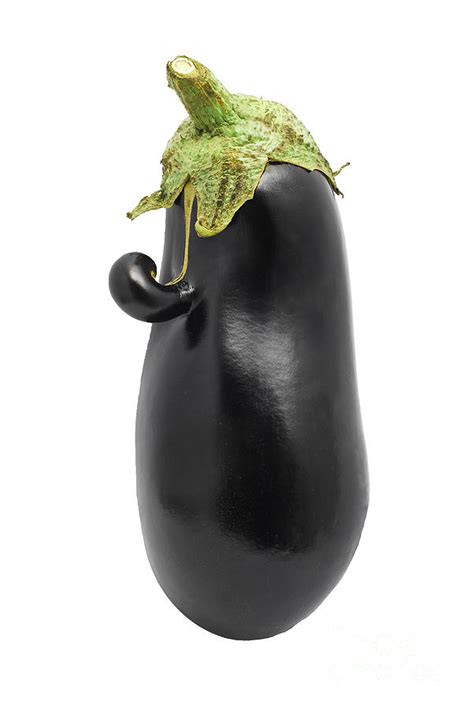 Eggplant Head Photograph By Cristian M Vela Fine Art America