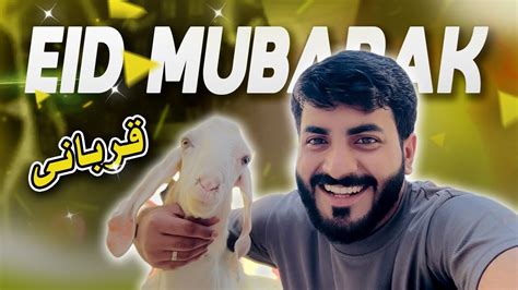 Bakra Eid Ka Pehla Din Eid Special Vlog Eid Mubarak By Usama Fayyaz