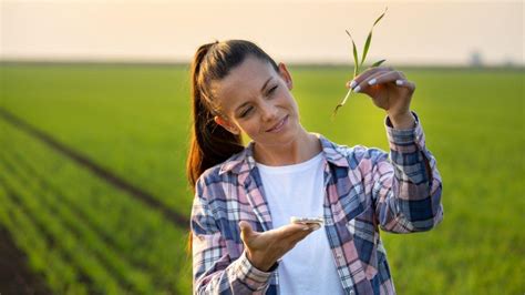 Ventajas y desventajas de estudiar agronomía