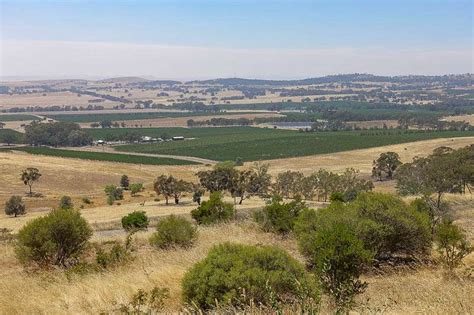 Discover 20 Top Things To Do In Clare Valley