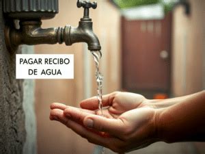 Gu A Para Pagar Recibo De Agua En L Nea En Mazatl N Mavia