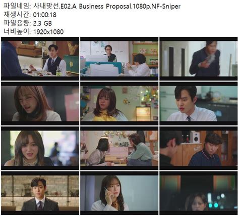 E A Business Proposal P Nf Sniper