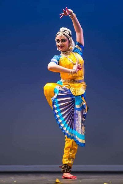 Bharatanatyam Dance Costumes Manufacturer, Supplier from Delhi