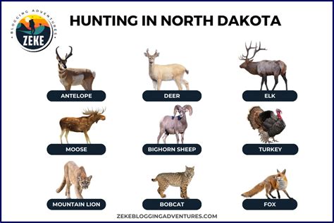 North Dakota Deer Season 2024 Irene Leoline