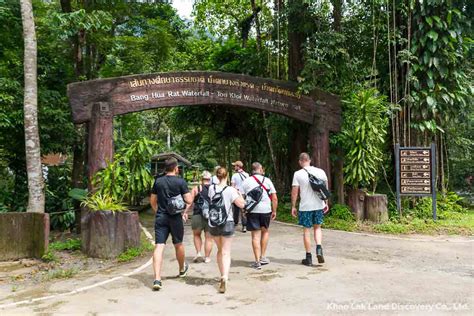 Khao Sok Jungle Trekking Discover The Magic Of The Rainforest