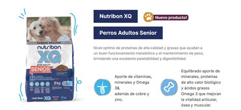 Nutribon Xq Perro Senior A Os X Kg Paraiso De Mascotas