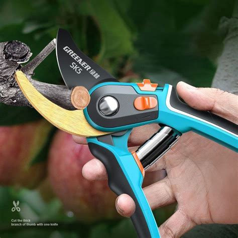 Секатор 242672237 - купить по выгодным ценам в интернет-магазине OZON ...