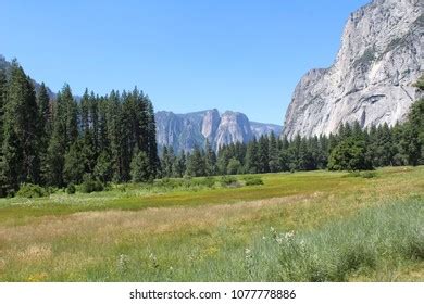 Open Field Landscape Stock Photo 1077778886 | Shutterstock