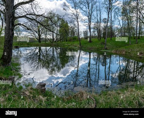 Silhouettes Of Grass Hi Res Stock Photography And Images Alamy