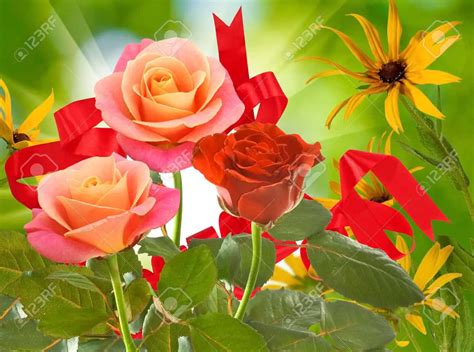 200 Vackra Blommor Bilder