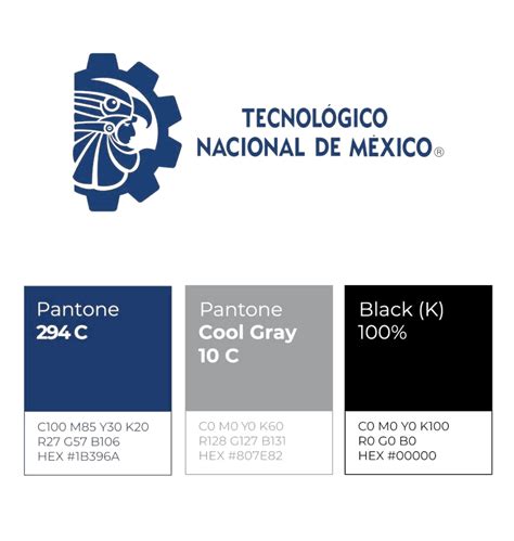 Identidad Gráfica Tecnm Campus Acapulco