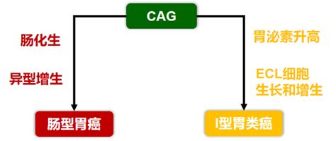 已病防变，萎缩性胃炎的癌变预防及治疗腾讯新闻