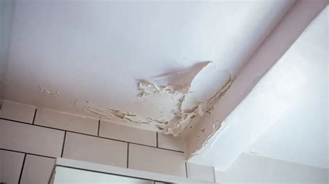 Understanding The Common Causes Of Paint Peeling In Bathrooms ShunShelter