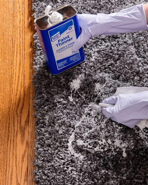 How To Clean Paint Out Of Carpet Inf Inet