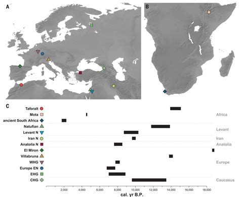 Pleistocene North African Genomes Link Near Eastern And Sub Saharan