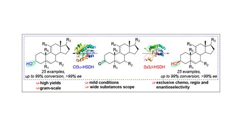 Hydroxysteroid Dehydrogenase Catalyzed Highly Regio Chemo And