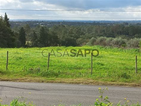 Terreno R Stico Venda Em Santar M P Voa Da Isenta Casa Iol