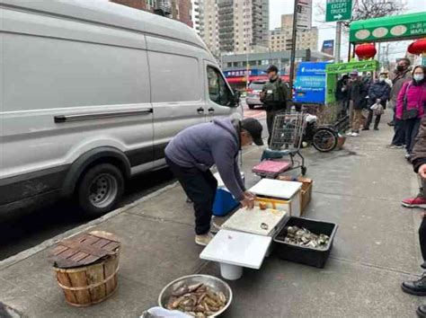 法拉盛摆摊的注意了！一周两次！纽约州环保厅都来查非法卖海鲜的！！ 北美新闻纽约人 华人帮新闻