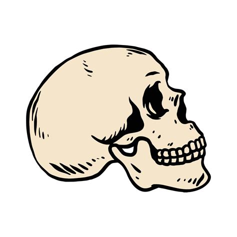 Skull Head Vector Art Illustration Isolated On White Background 27958690 Vector Art At Vecteezy