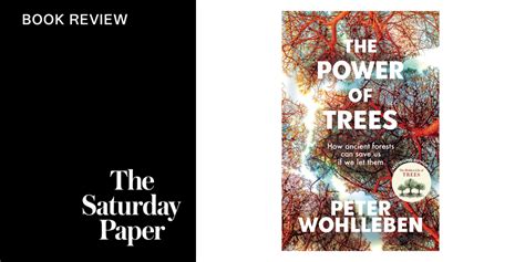 The Power Of Trees By Peter Wohlleben The Saturday Paper